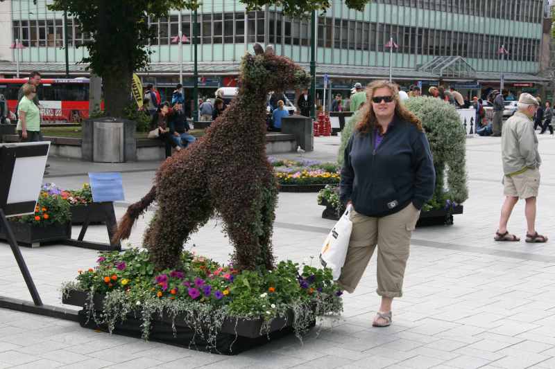 Nieuw-Zeeland 2011 - 2144